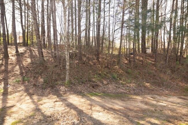 Building Photo - Newly Renovated 3/2 Townhome in Quiet Decatur Neighborhood!