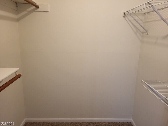 Building Photo - 1211 Spruce Hills Dr