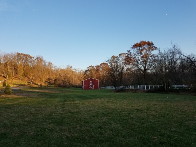 Back yard - 2086 Kratz Station Rd