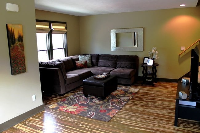 Living Area (Main) - 900 Blodgett St SE