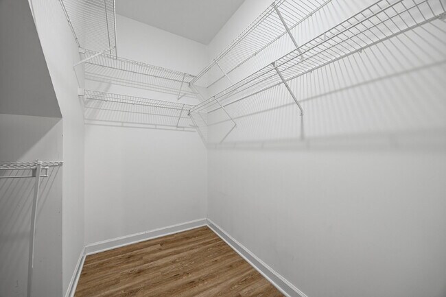 Building Photo - Prime Charlotte Location!