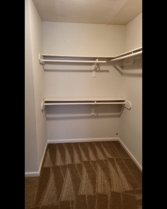 Building Photo - 5810 Twisted Pine Court