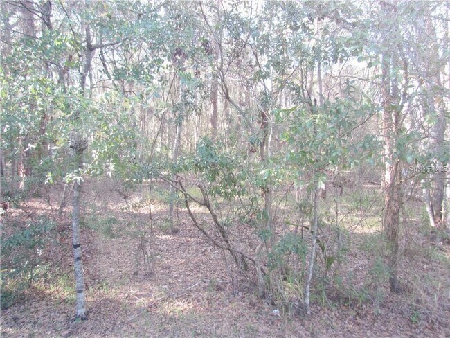 Building Photo - 4343 Lakeshore Dr