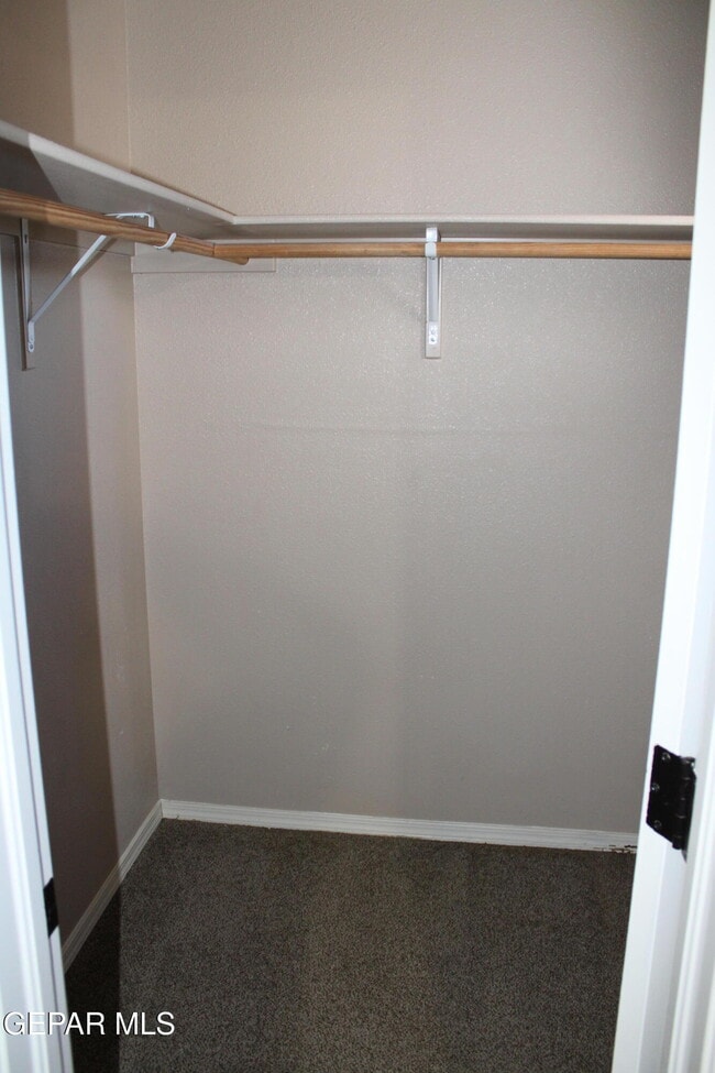 Building Photo - 3100 Amistoso St