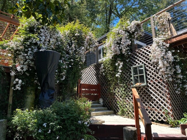 Building Photo - 35 Forrest Ave
