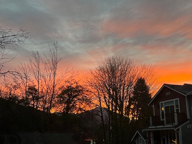 Morning view from kitchen facing East - 379 E Park St
