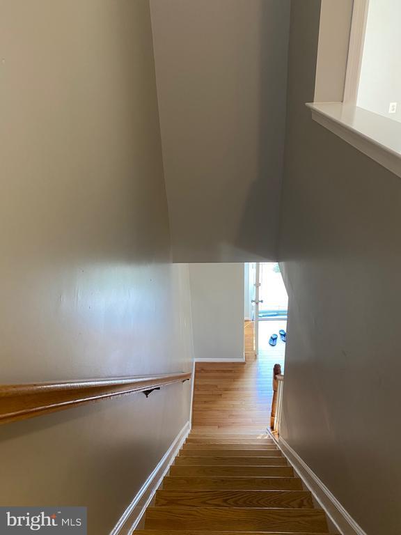 Building Photo - 3282 Halcyon Ct