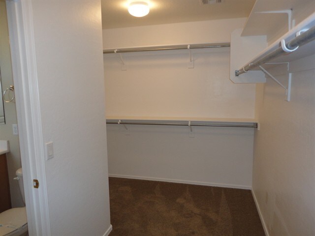 Building Photo - 420 E Palomino Way