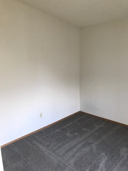 Building Photo - Charming Studio Home in City Center Aurora!