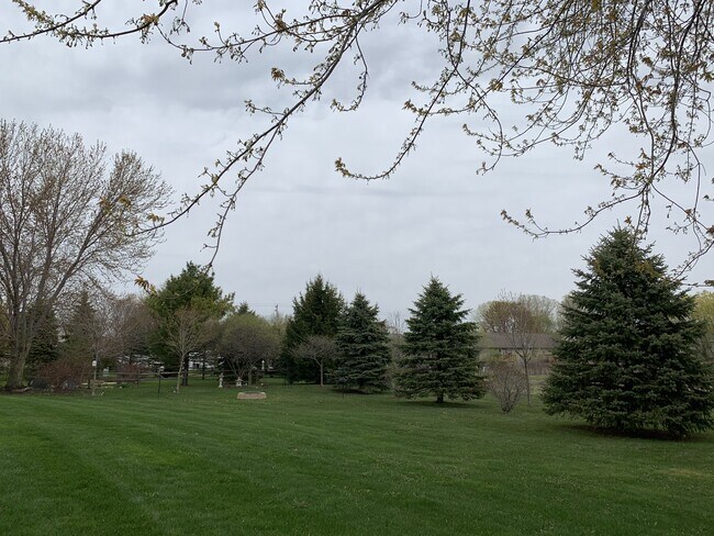 Backyard - 611 Wellington Dr