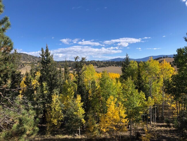 Building Photo - 609 Buffalo Ridge Rd