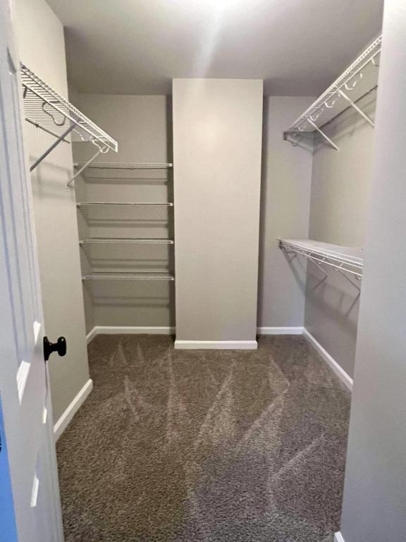 Building Photo - 5116 Goshawk Dr