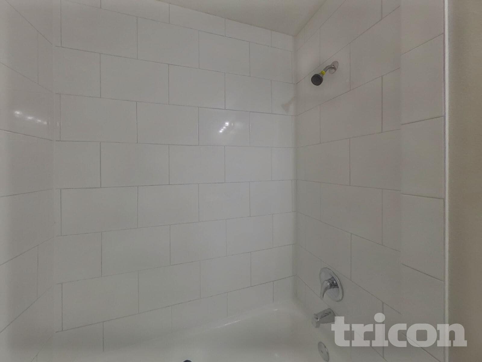 Building Photo - 216 Cobalt Dr