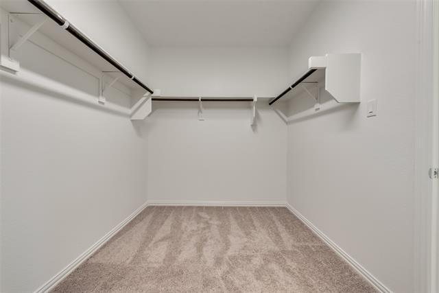 Building Photo - 3514 Honeysuckle Holw