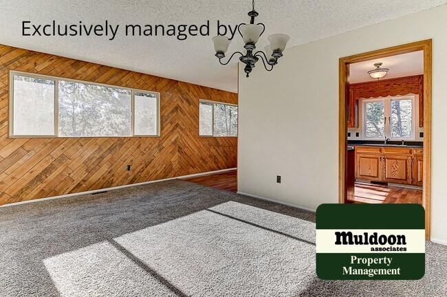 Building Photo - Coming soon, Stunning Black Forest Home!