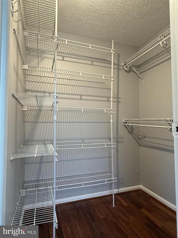 Building Photo - 102 Smoothleaf Ln