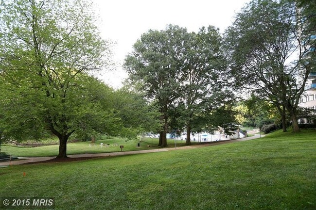 Building Photo - North Bethesda Studio - Walk to Metro - Utilities Included