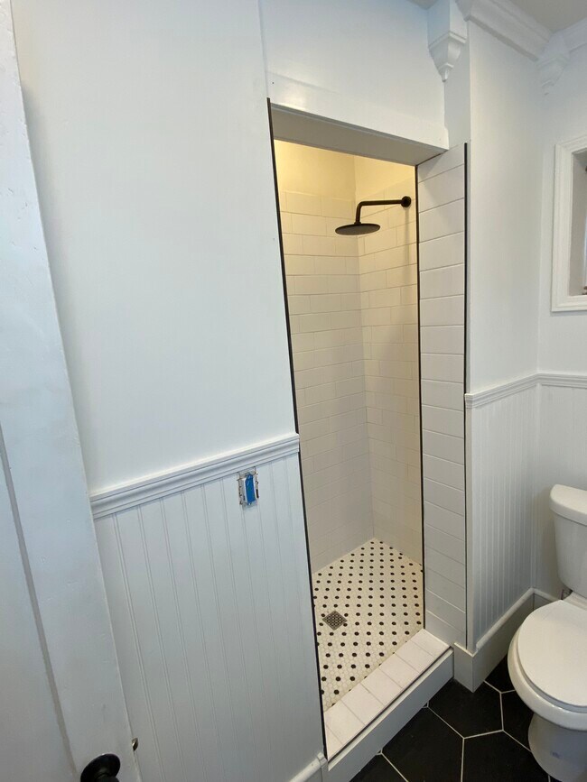 Walk in Shower - 366 Hudson Ave