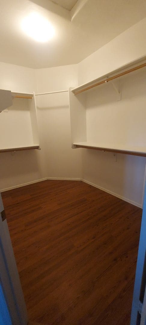 Building Photo - 4 bed 2 bath home near Higley & Riggs Rd.