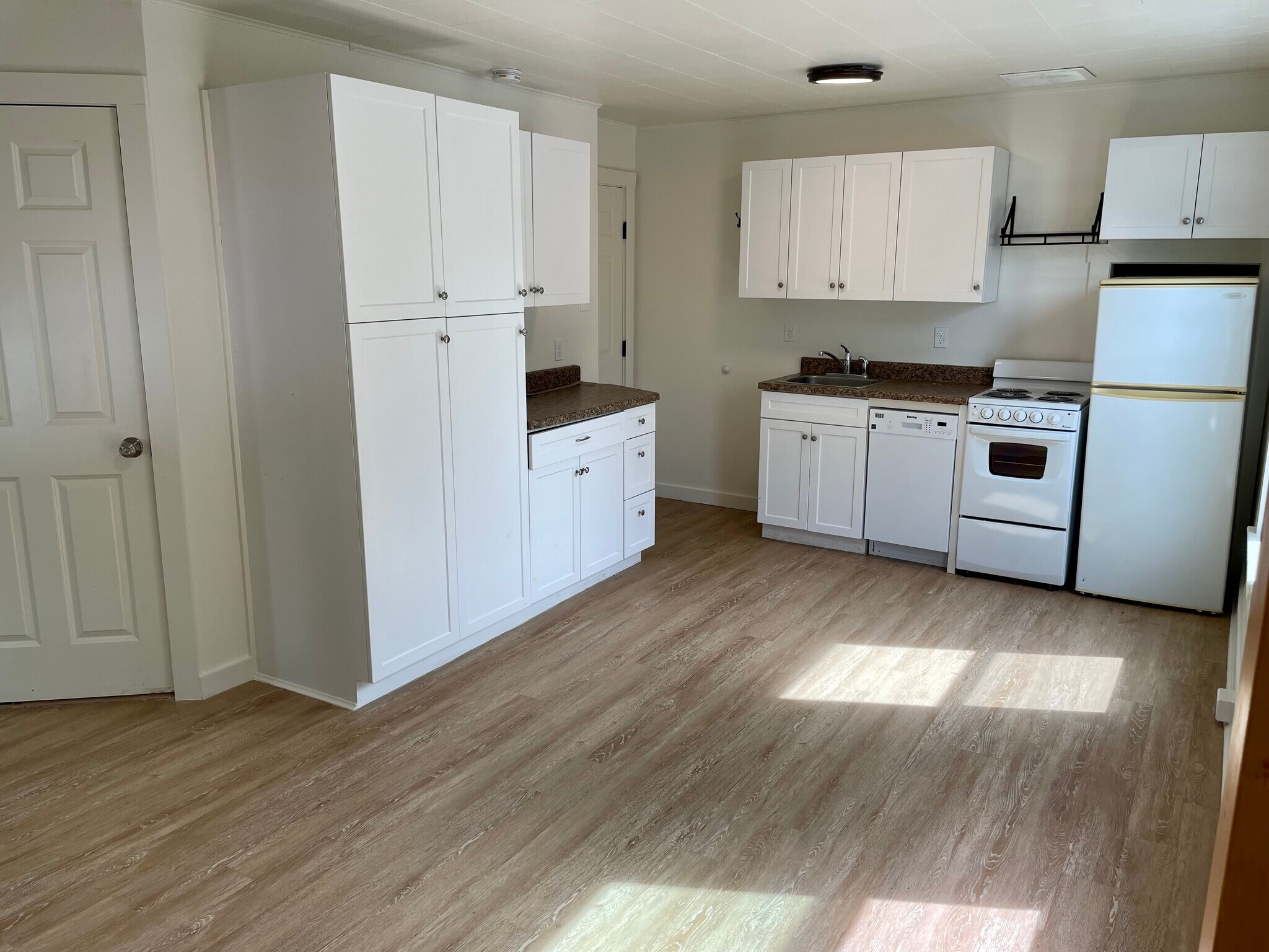 Unit 3 Kitchen - 203 S Division St