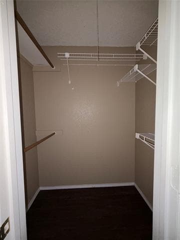 Building Photo - 2530 Indigo Ln
