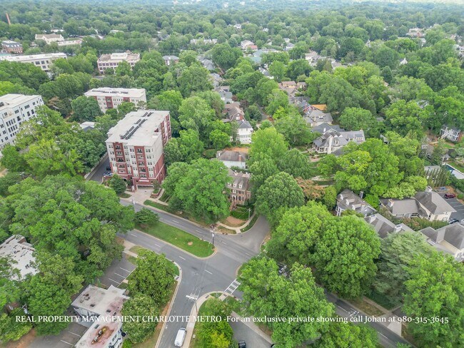 Building Photo - 529 Queens Rd