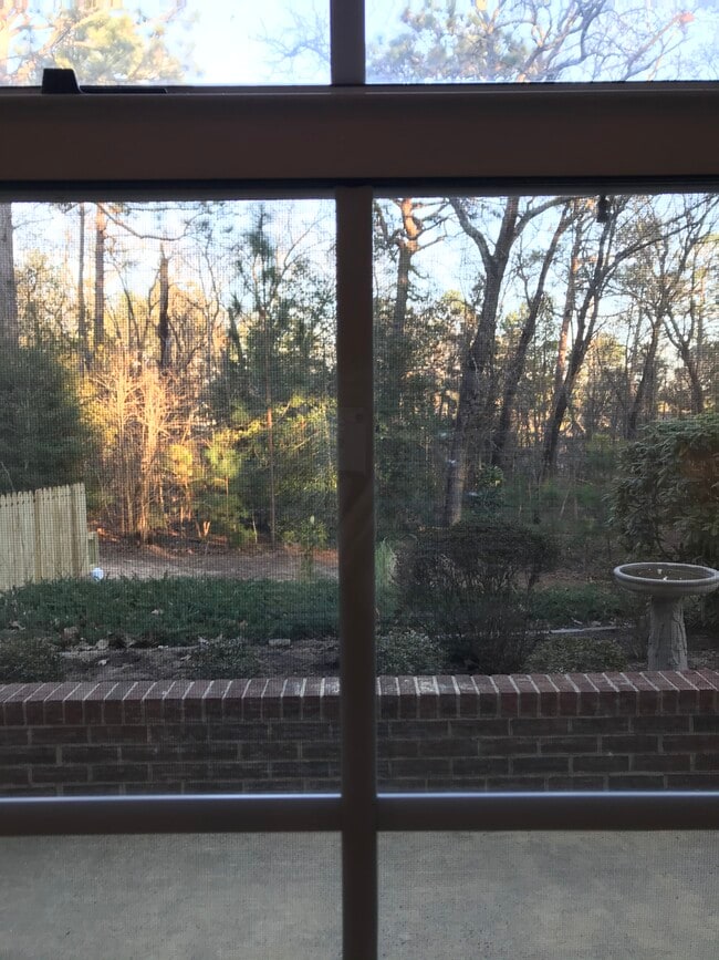 View out window to woods - 11 Pinehurst Mnr