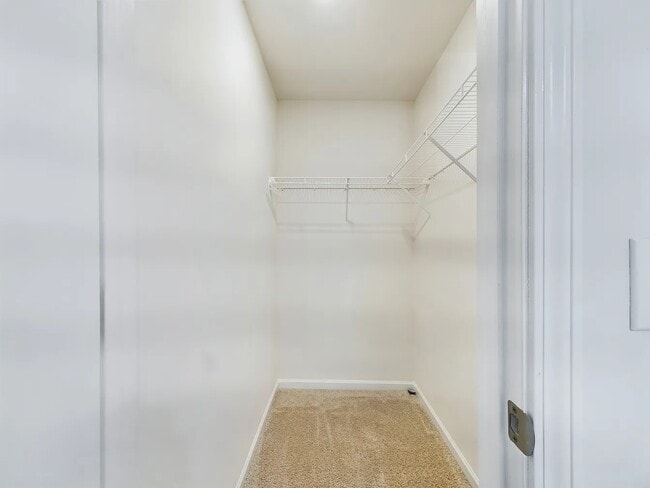 Building Photo - 5012 Jamie Sloop Ln