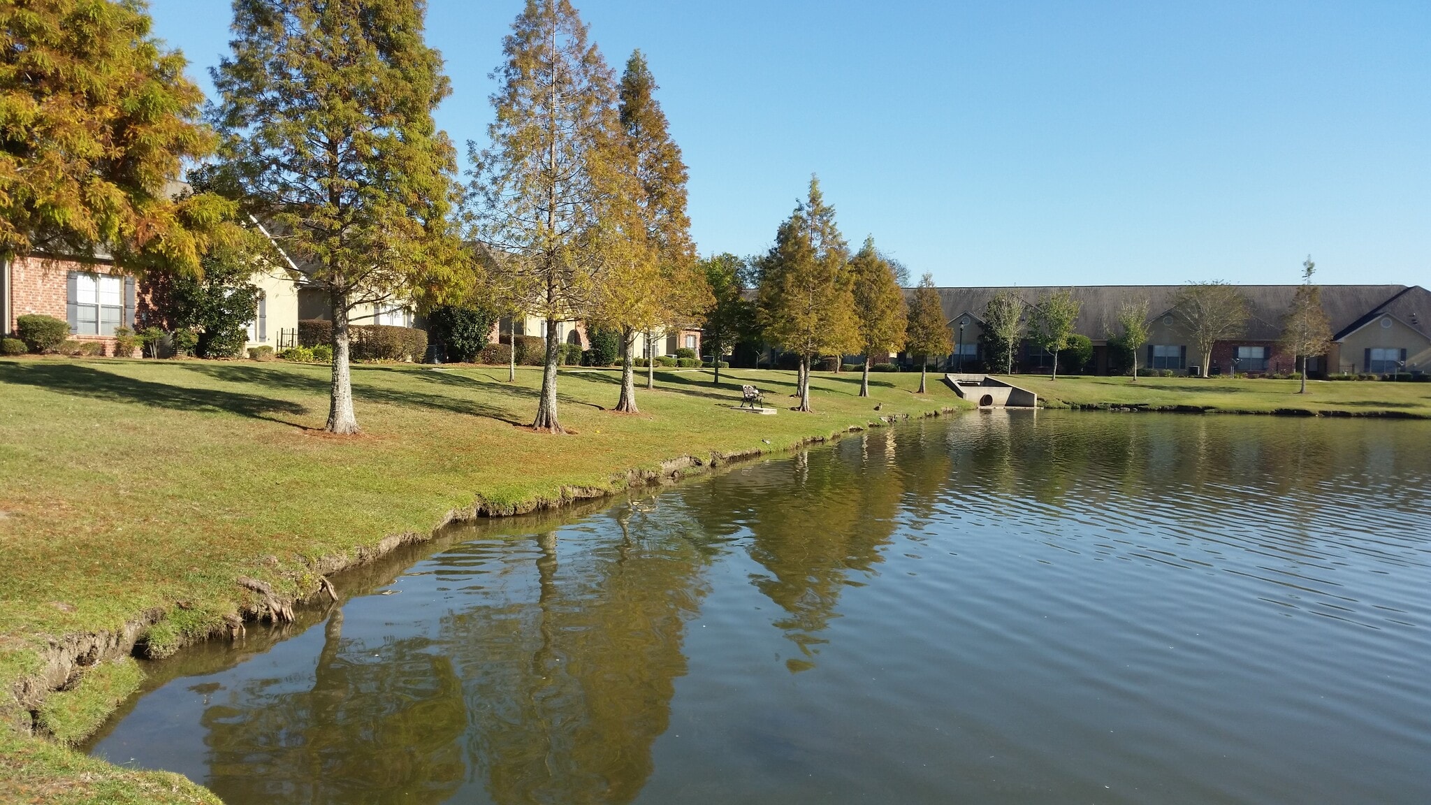 Building Photo - 809 Summer Breeze Dr