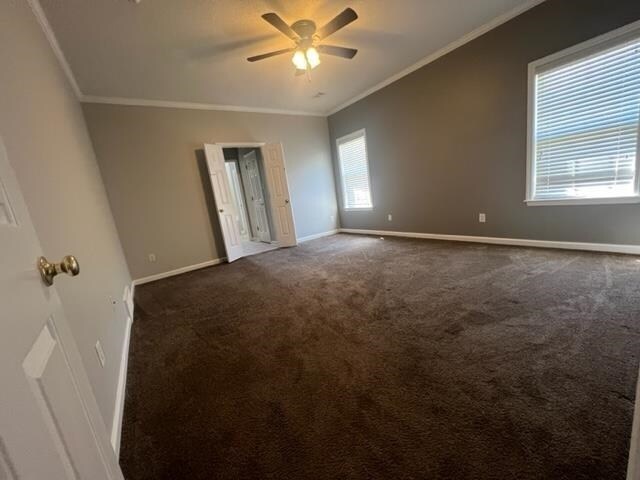 Building Photo - 370 Lida Ln