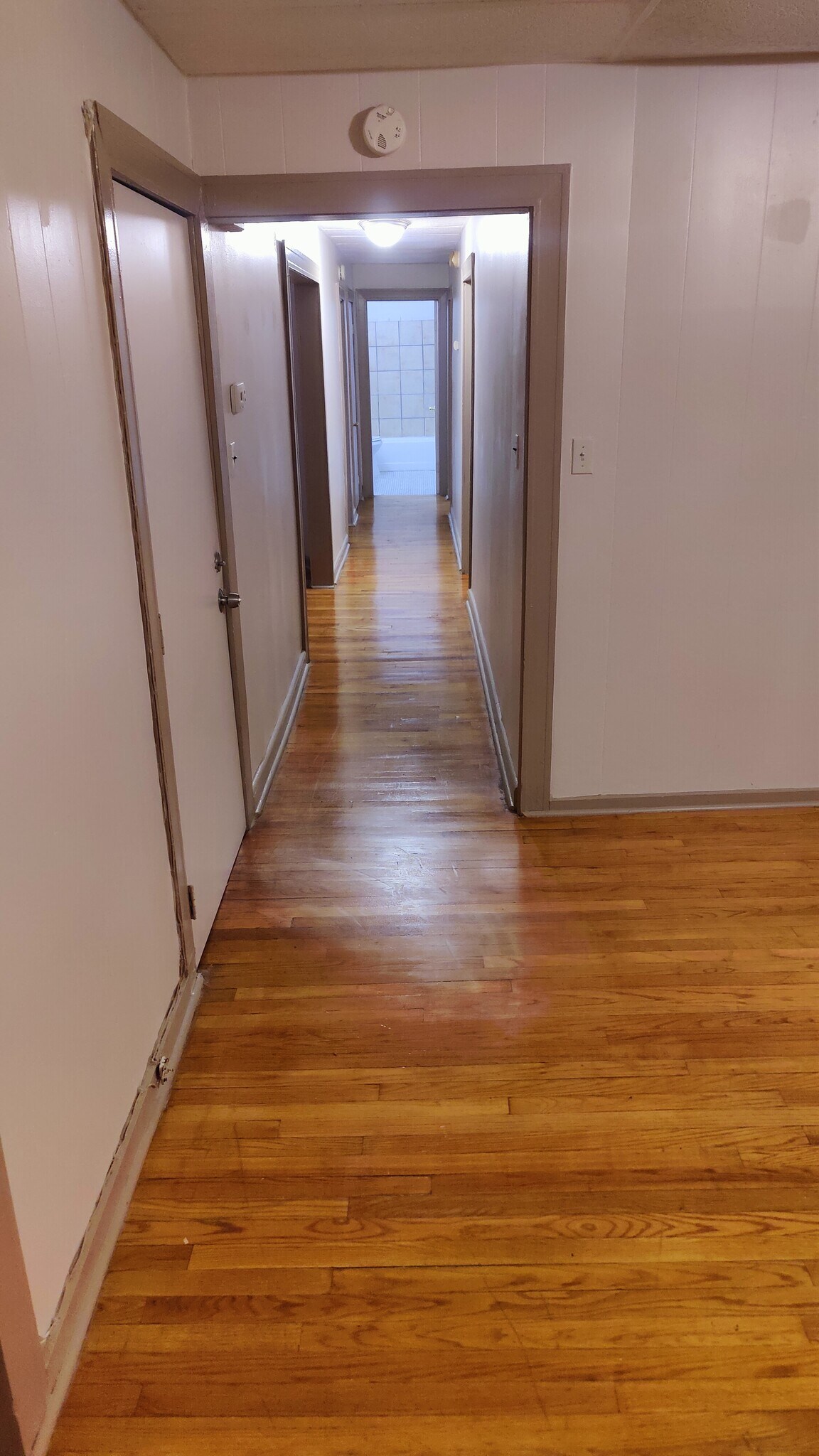 Building Photo - 3404 Alto Rd