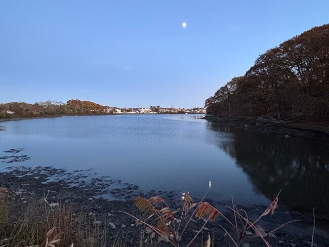 Building Photo - 7 Hardy St