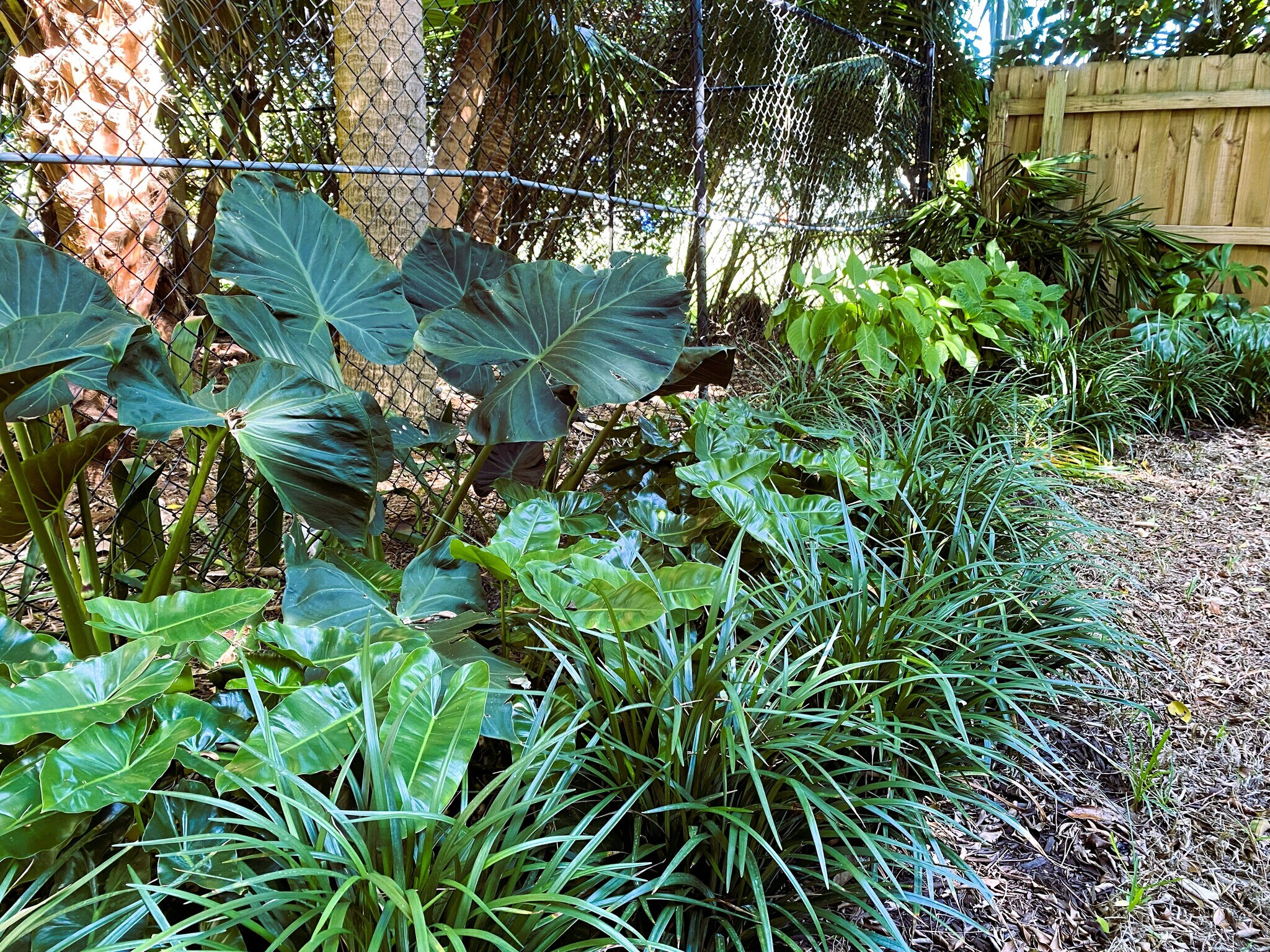 Building Photo - 9345 Green Meadows Way