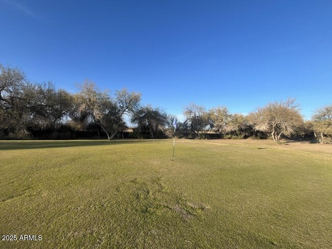 Building Photo - 1278 W Calle Tuberia