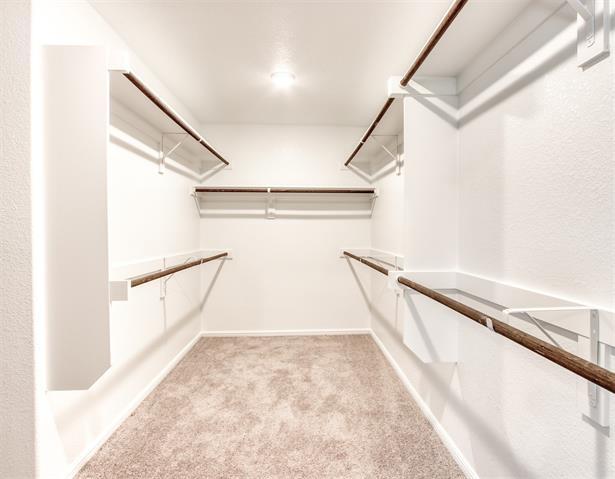 Building Photo - 3918 Switchgrass Grv