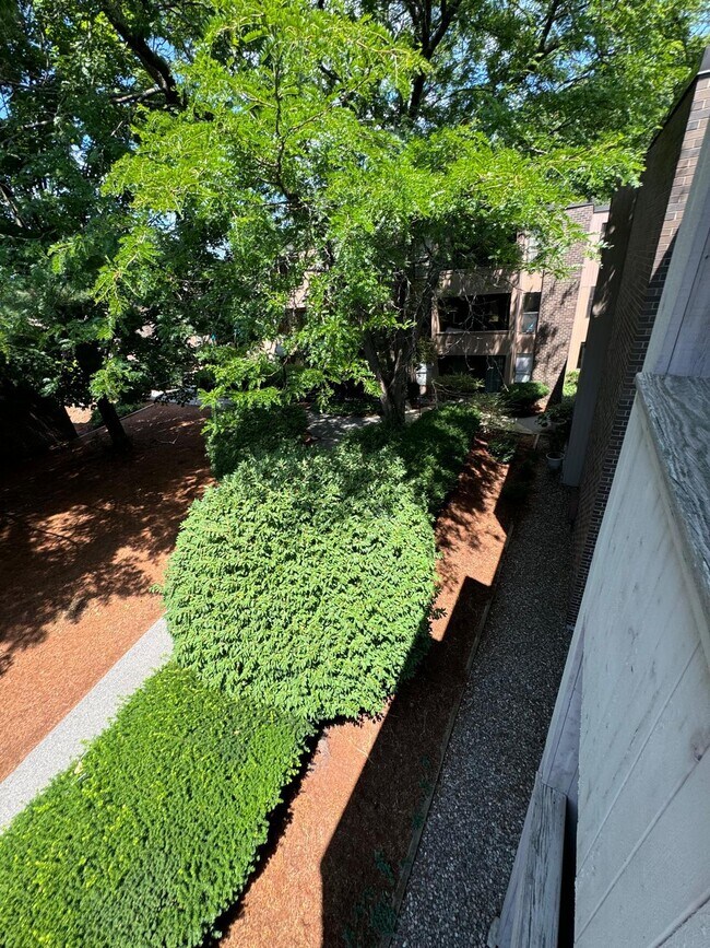 Building Photo - 38K Shrewsbury Green Dr