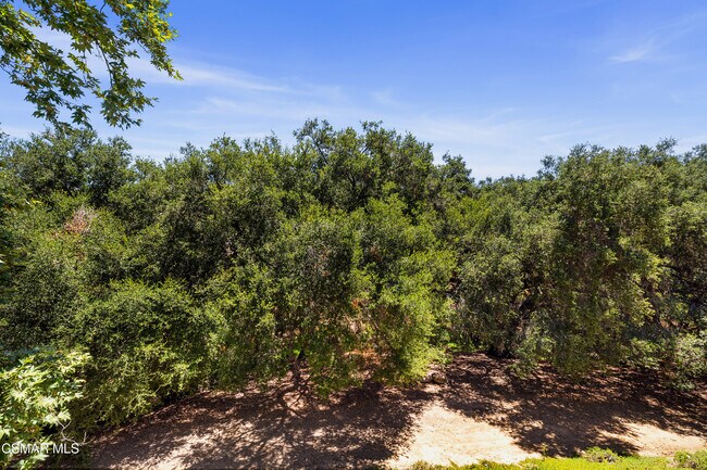 Building Photo - 3206 Clarita Ct