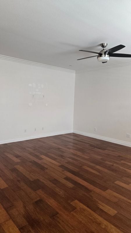 Building Photo - 5013 Clematis Ct