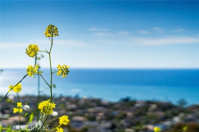 Building Photo - 307 E Avenida Cordoba