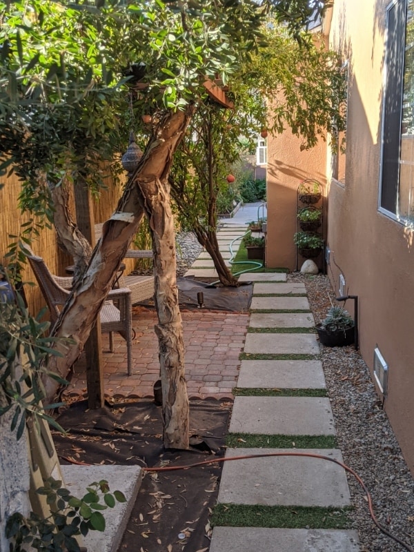 Building Photo - 2537 Maynard Dr