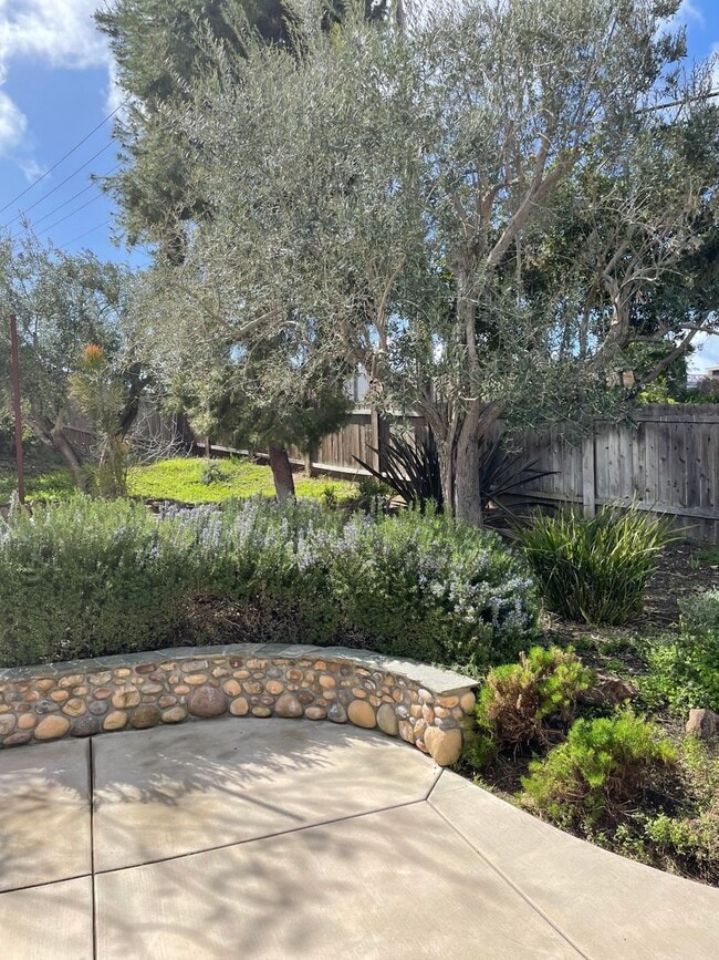 Building Photo - Clairemont Beauty - Welcome Home!