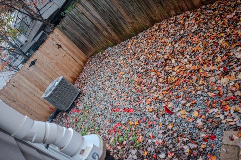 Building Photo - 241 Maynard Terrace SE