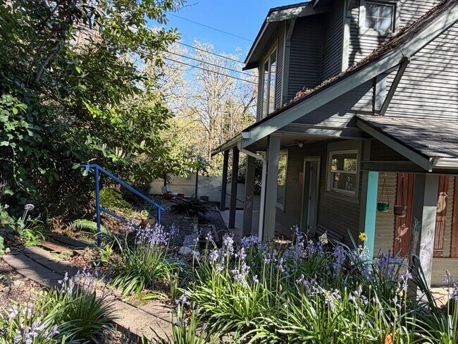 Building Photo - Spacious 1-Bedroom Home with Expansive Living Space