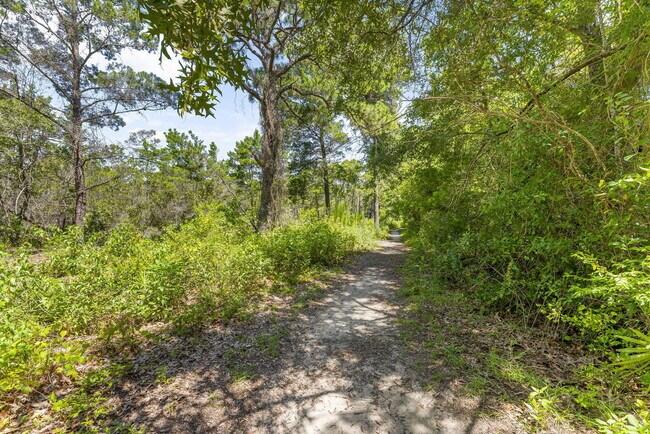 Building Photo - 31 Corte Lago