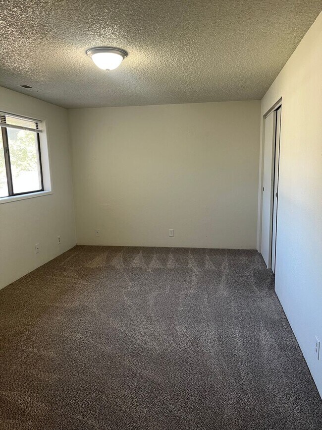 Building Photo - 511-513 Plum St