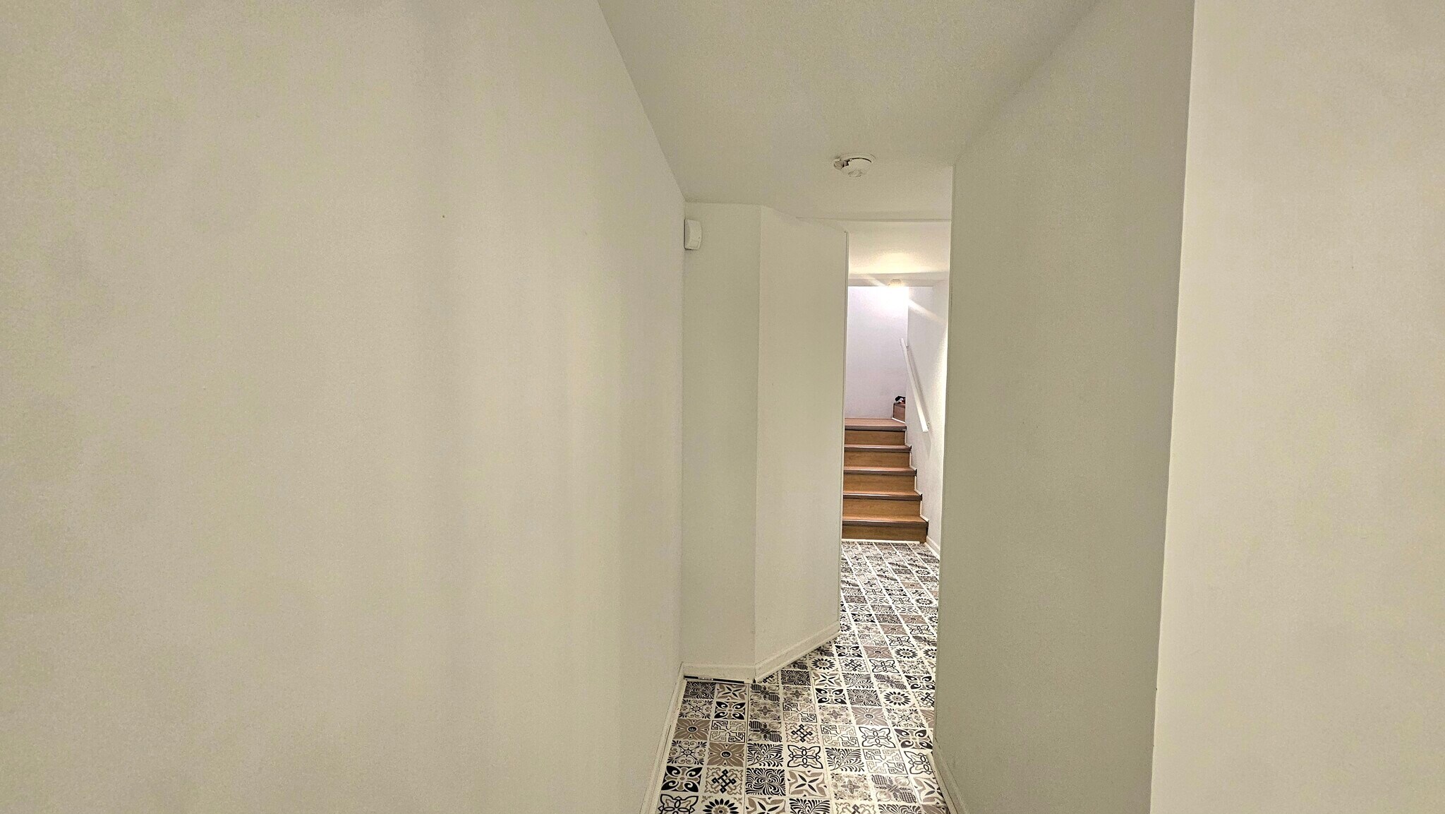 basement - 1421 Meadowsedge Ln