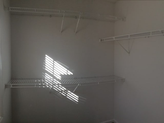 Building Photo - 2705 Red Ruby Ln