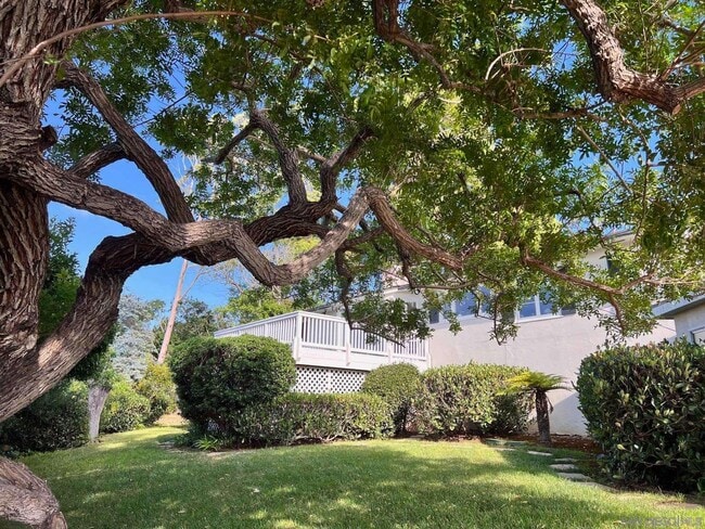 Building Photo - 7851 Hillside Dr