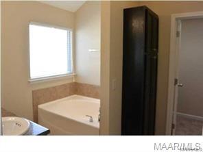 Building Photo - 1831 Cotton Blossom Way