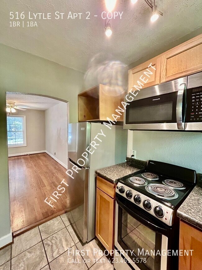 Building Photo - 516 Lytle St